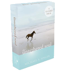 The Untethered Soul