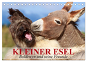 Kleiner Esel. Boldewyn und seine Freunde (Tischkalender 2024 DIN A5 quer), CALVENDO Monatskalender