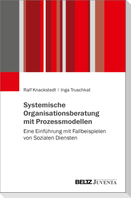 Systemische Organisationsberatung mit Prozessmodellen