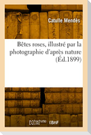 Bêtes roses, illustré par la photographie d'après nature