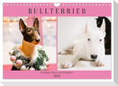 Bullterrier. Freudiges Wesen und Charakter (Wandkalender 2025 DIN A4 quer), CALVENDO Monatskalender