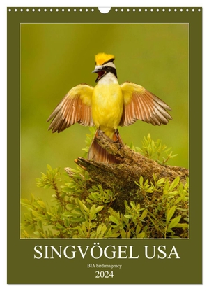 Birdimagency, Bia. Singvögel USA (Wandkalender 2024 DIN A3 hoch), CALVENDO Monatskalender - Monatskalender, Hochformat, 12 Singvogelarten aus den USA. Calvendo, 2023.