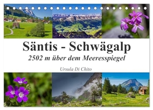 Di Chito, Ursula. Säntis - Schwägalp (Tischkalender 2025 DIN A5 quer), CALVENDO Monatskalender - Impressionen der Schweizer Bergwelt - Der Säntis. Calvendo, 2024.