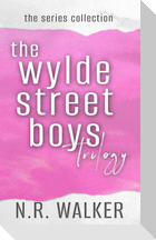 The Wylde Street Boys Series Collection