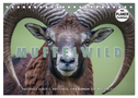 Emotionale Momente: Muffelwild. (Tischkalender 2024 DIN A5 quer), CALVENDO Monatskalender