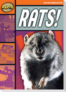 Rapid Reading: Rats! (Stage 4, Level 4b)