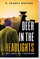 A Deer in the Headlights