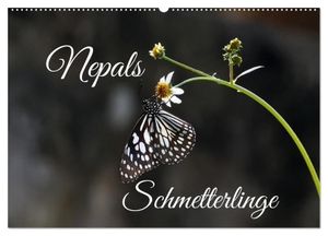 Hennighaußen, Andreas. Nepals Schmetterlinge (Wandkalender 2024 DIN A2 quer), CALVENDO Monatskalender - Eine Auswahl von Schmetterlingen, die ich bei meinen Nepalreisen fotografierte.. Calvendo, 2023.