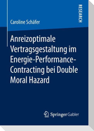 Anreizoptimale Vertragsgestaltung im Energie-Performance-Contracting bei Double Moral Hazard
