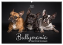 Bullymania - Französische Bulldoggen (Wandkalender 2025 DIN A2 quer), CALVENDO Monatskalender