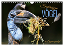 Schräge Vögel in Szene gesetzt (Wandkalender 2024 DIN A4 quer), CALVENDO Monatskalender