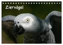 Ziervögel (Tischkalender 2024 DIN A5 quer), CALVENDO Monatskalender