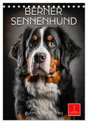 Berner Sennenhund - gutmütig und treu (Tischkalender 2024 DIN A5 hoch), CALVENDO Monatskalender