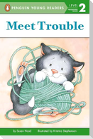Meet Trouble