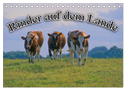 Rinder auf dem Lande (Tischkalender 2024 DIN A5 quer), CALVENDO Monatskalender