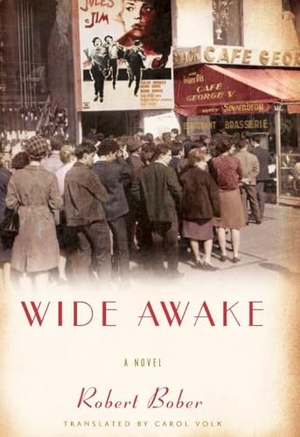 Bober, Robert. Wide Awake. New Press, 2012.