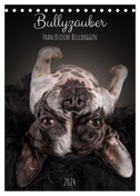 Bullyzauber - Französische Bulldoggen (Tischkalender 2024 DIN A5 hoch), CALVENDO Monatskalender