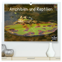 Amphibien und Reptilien (hochwertiger Premium Wandkalender 2025 DIN A2 quer), Kunstdruck in Hochglanz