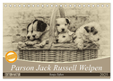 Parson Jack Russel Welpen (Tischkalender 2025 DIN A5 quer), CALVENDO Monatskalender