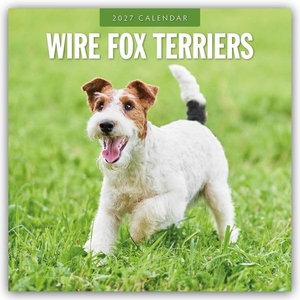 Red, Robin. Wire Fox Terriers - Drahthaar Foxterrier 2027 - 16-Monatskalender - Original Red Robin Publishing Ltd-Kalender [Mehrsprachig] [Kalender]. Browntrout Verlags GmbH, 2026.