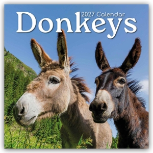 Gifted Stationery Co. Ltd. Donkeys - Esel 2027 - 16-Monatskalender - Original Gifted Stationery-Kalender [Mehrsprachig] [Kalender]. Browntrout Verlags GmbH, 2026.
