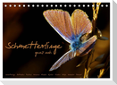 Schmetterlinge ganz nah (Tischkalender 2024 DIN A5 quer), CALVENDO Monatskalender