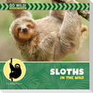 Sloths in the Wild