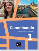 Camminando 1