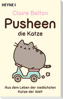 Pusheen, die Katze