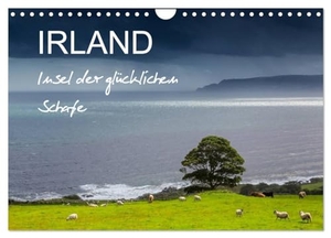 Böhme, Ferry. IRLAND - Insel der glücklichen Schafe (Wandkalender 2024 DIN A4 quer), CALVENDO Monatskalender - Echt irisch, echt Scha(r)f!. Calvendo Verlag, 2023.