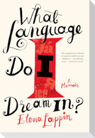 What Language Do I Dream In?