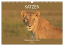 Katzen - Begegnungen in Afrika (Wandkalender 2025 DIN A3 quer), CALVENDO Monatskalender