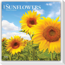 Sunflowers - Sonnenblumen 2027 - 16-Monatskalender
