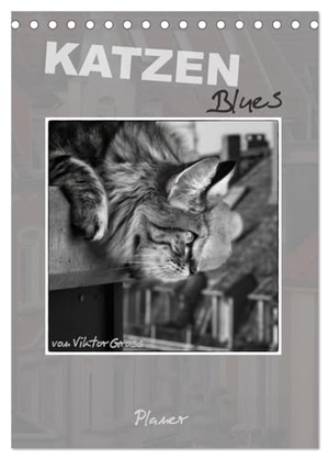 Gross, Viktor. Katzen Blues / Planer (Tischkalender 2024 DIN A5 hoch), CALVENDO Monatskalender - Norwegische Waldkatzen - über den Dächern von Münster. Calvendo Verlag, 2023.