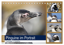 Pinguine im Portrait - Frackträger in Südafrika (Tischkalender 2025 DIN A5 quer), CALVENDO Monatskalender