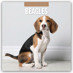 Red, Robin. Beagles - Beagle 2027 - 16-Monatskalender - Original Red Robin Publishing Ltd-Kalender [Mehrsprachig] [Kalender]. Browntrout Verlags GmbH, 2026.