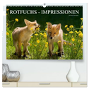 Rotfuchs - Impressionen (hochwertiger Premium Wandkalender 2024 DIN A2 quer), Kunstdruck in Hochglanz