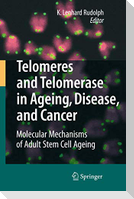 Telomeres and Telomerase in Aging, Disease, and Cancer