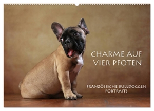Behr, Jana. Charme auf vier Pfoten - Französische Bulldoggen Portraits (Wandkalender 2024 DIN A2 quer), CALVENDO Monatskalender - Portraits Französischer Bulldoggen. Calvendo, 2023.