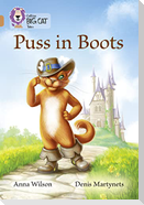 BIG CAT - PUSS IN BOOTS