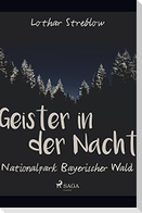 Geister in der Nacht. Nationalpark Bayerischer Wald