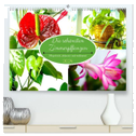 Die schönsten Zimmerpflanzen. Pflegeleicht, dekorativ und wohltuend (hochwertiger Premium Wandkalender 2024 DIN A2 quer), Kunstdruck in Hochglanz