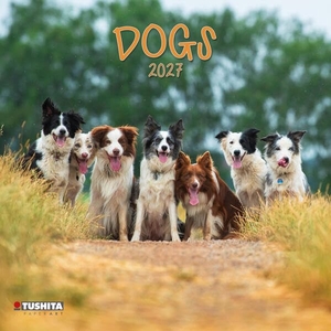 Dogs 2027 - Kalender 2027. Tushita PaperArt GmbH, 2026.