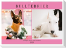 Bullterrier. Freudiges Wesen und Charakter (Wandkalender 2025 DIN A2 quer), CALVENDO Monatskalender