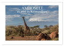 Amboseli (Calendrier mural 2024 DIN A3 vertical), CALVENDO calendrier mensuel