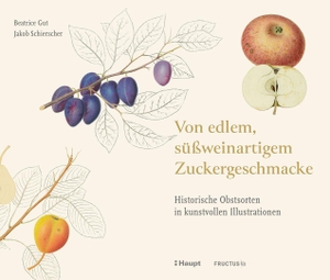 Gut, Beatrice / Jakob Schierscher. Von edlem, süßweinartigem Zuckergeschmacke - Historische Obstsorten in kunstvollen Illustrationen. Haupt Verlag AG, 2026.