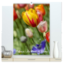 Tulpen - die Frühlingsblume (hochwertiger Premium Wandkalender 2024 DIN A2 hoch), Kunstdruck in Hochglanz