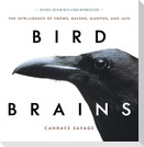 Bird Brains