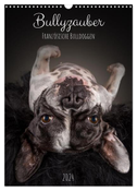 Bullyzauber - Französische Bulldoggen (Wandkalender 2024 DIN A3 hoch), CALVENDO Monatskalender
