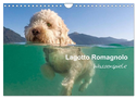 Lagotto Romagnolo - Wasserspiele (Wandkalender 2024 DIN A4 quer), CALVENDO Monatskalender